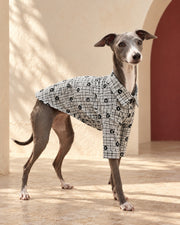 Monochrome Check Iggy Shirt, worn by an Italian Greyhound
