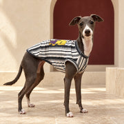 Monochrome Stripe Bound-Edge Iggy Tank, worn by an Italian Greyhound