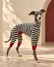 Monochrome Stripe Covered-Belly Iggy Suit, worn by an Italian Greyhound