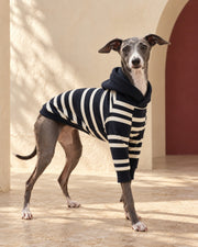 Navy Stripe Iggy Hoodie, worn by an Italian Greyhound