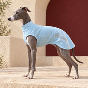 Pale Blue Sleeveless Iggy Summer Top in Pale Blue, worn by an Italian Greyhound