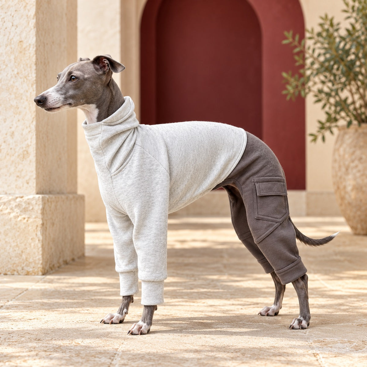 Panelled Four-Leg Iggy Onesie in Light Heather Grey, worn by an Italian Greyhound