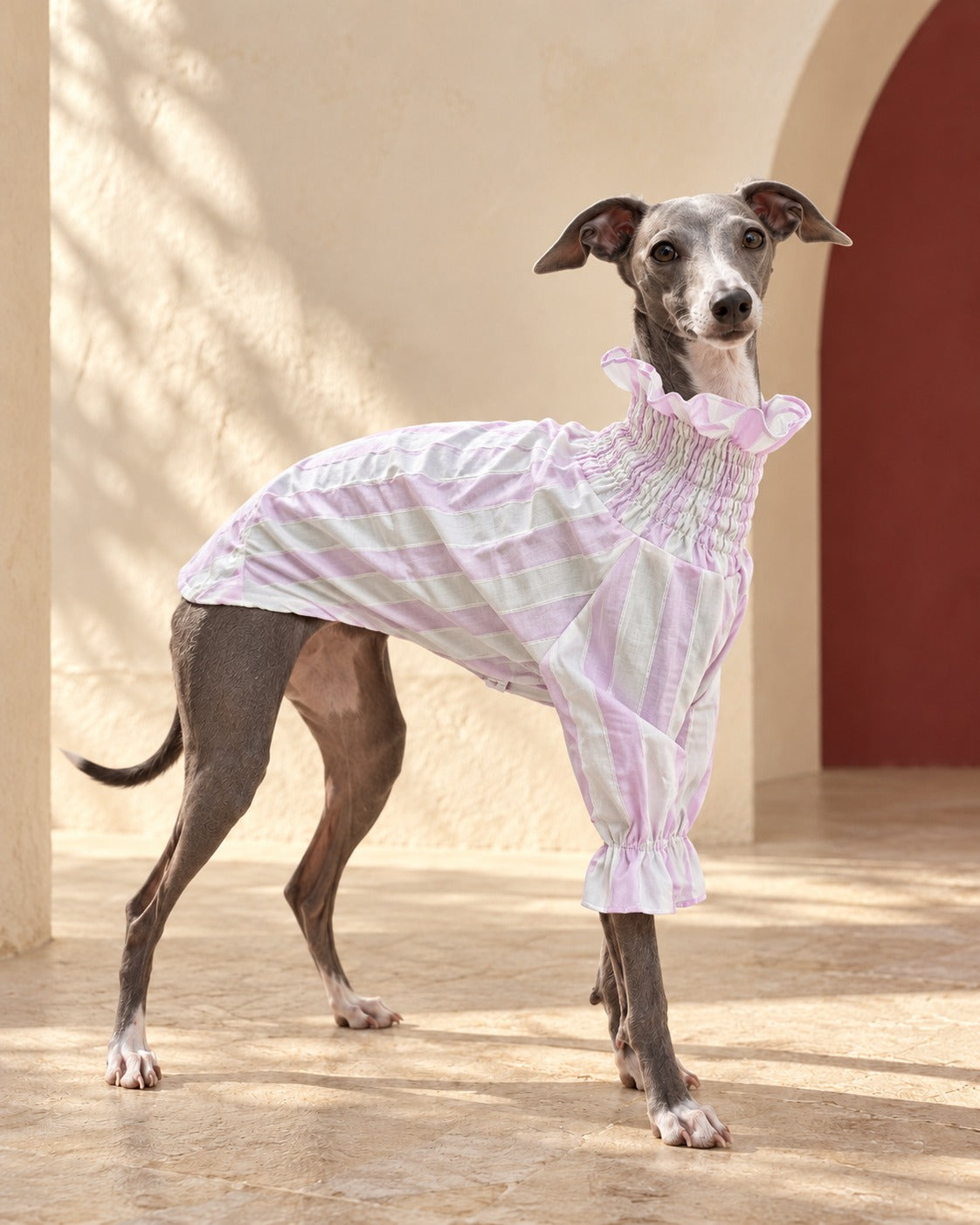 Pastel Stripe Gathered Iggy Dress, worn by an Italian Greyhound