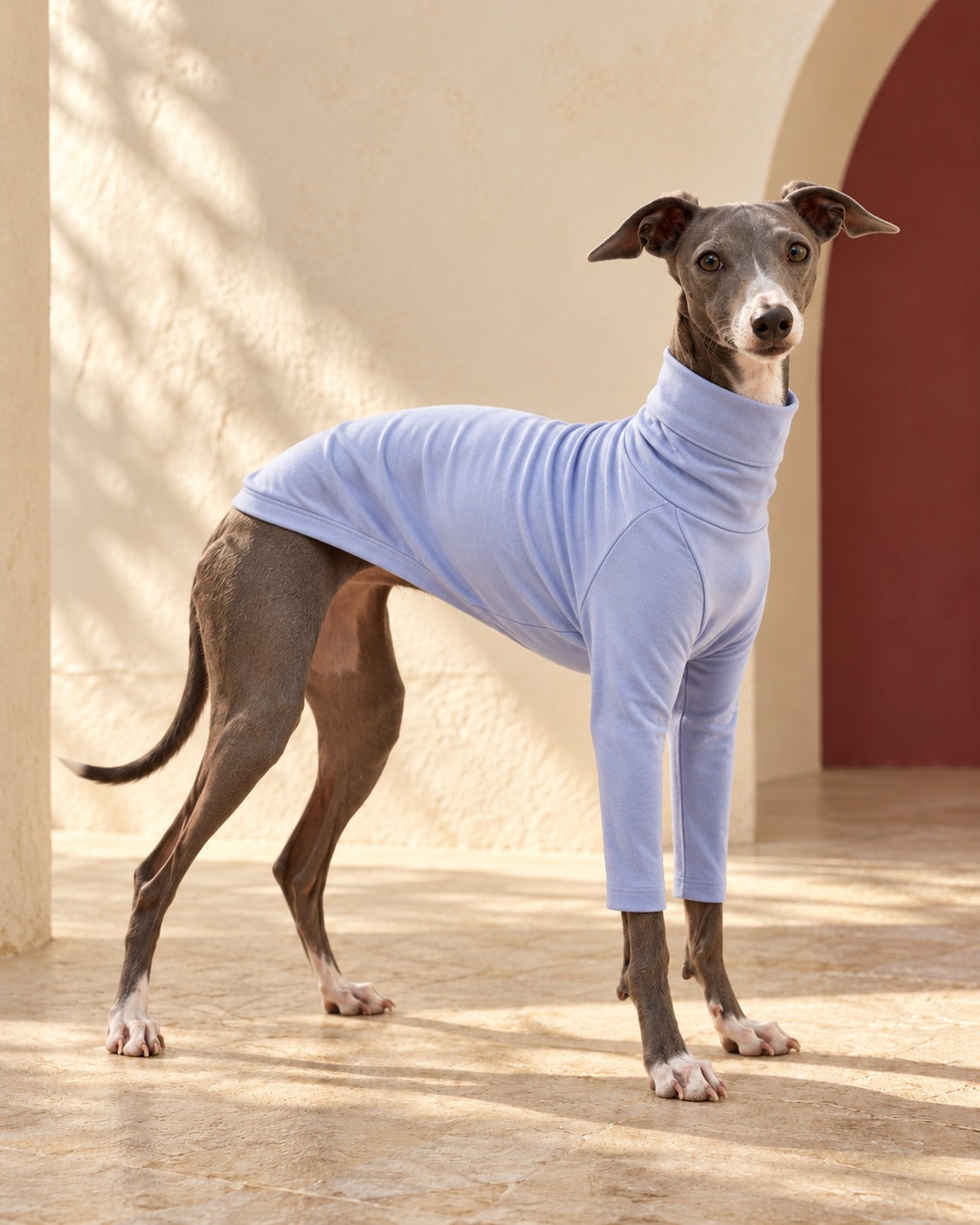 Periwinkle Cotton Iggy Turtleneck Top in Periwinkle, worn by an Italian Greyhound