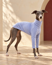 Periwinkle Cotton Iggy Turtleneck Top in Periwinkle, worn by an Italian Greyhound