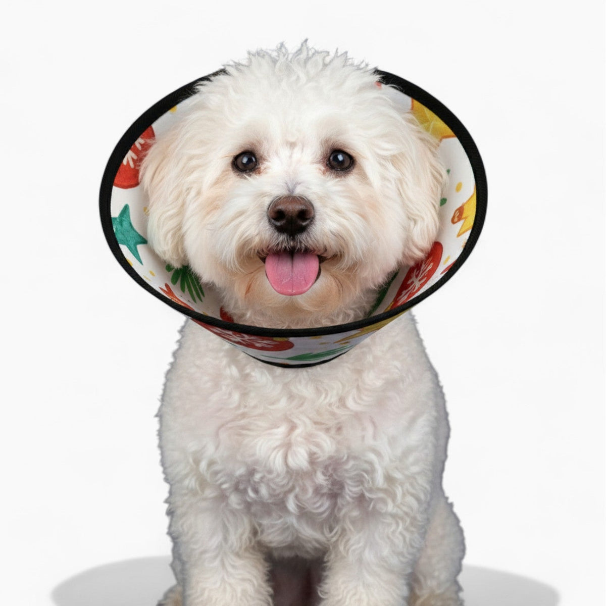 peanut - Soft Iggy Cone & Elizabethan Collar