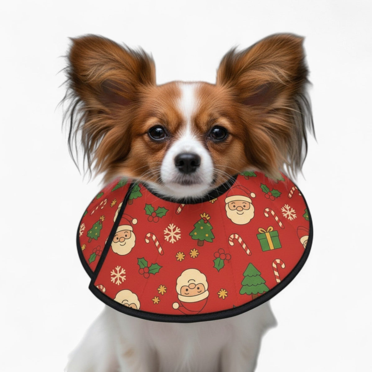 Maple - Soft Iggy Cone & Elizabethan Collar