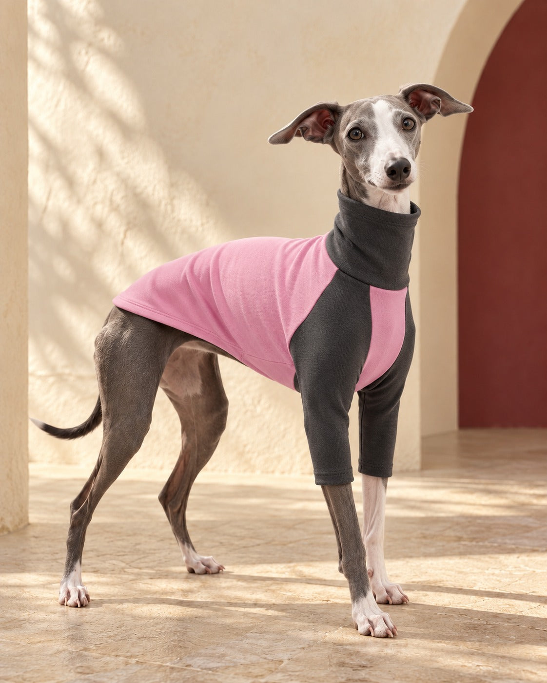 Pink & Charcoal Cotton Iggy Shirt, worn by an Italian Greyhound