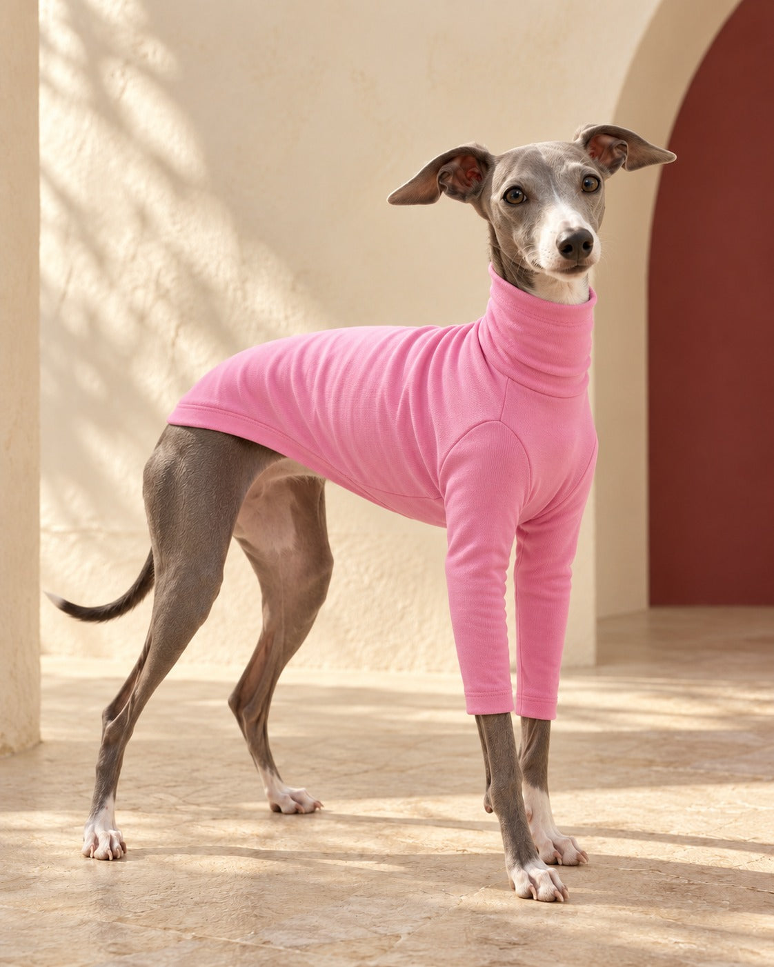 Pink Cotton Iggy Turtleneck Top in Bright Pink, worn by an Italian Greyhound