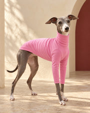 Pink Cotton Iggy Turtleneck Top in Bright Pink, worn by an Italian Greyhound