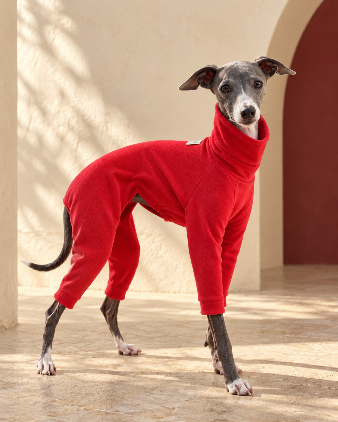 Red Four-Leg Iggy Celebration Suit, worn by an Italian Greyhound