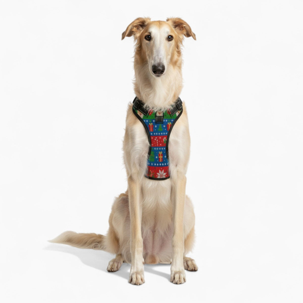 reo NO-PULL Harness & Leash Set