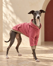 Rose Contrast-Cuff Iggy Hoodie, worn by an Italian Greyhound