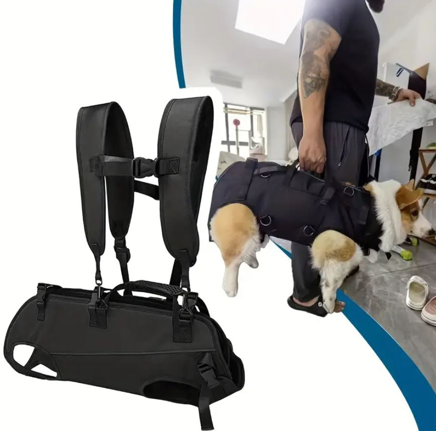 safe dog carrier backpacks