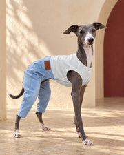 Sleeveless Iggy Overall Suit in Blue, worn by an Italian Greyhound