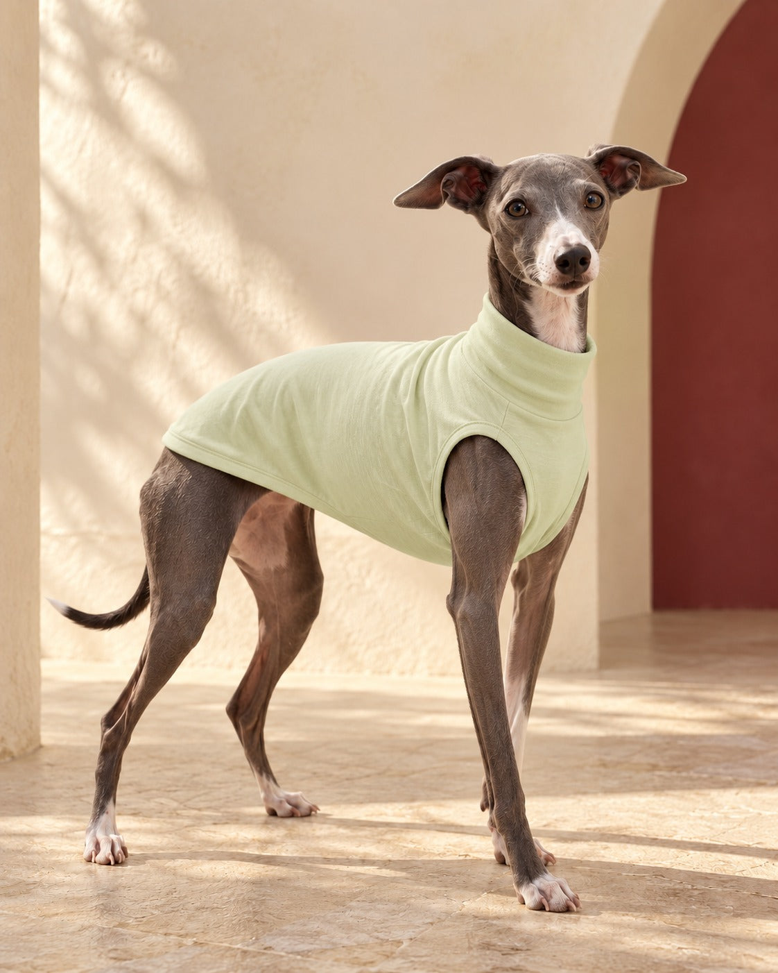 Slub Cotton Sleeveless Iggy Top in Spring Green, worn by an Italian Greyhound