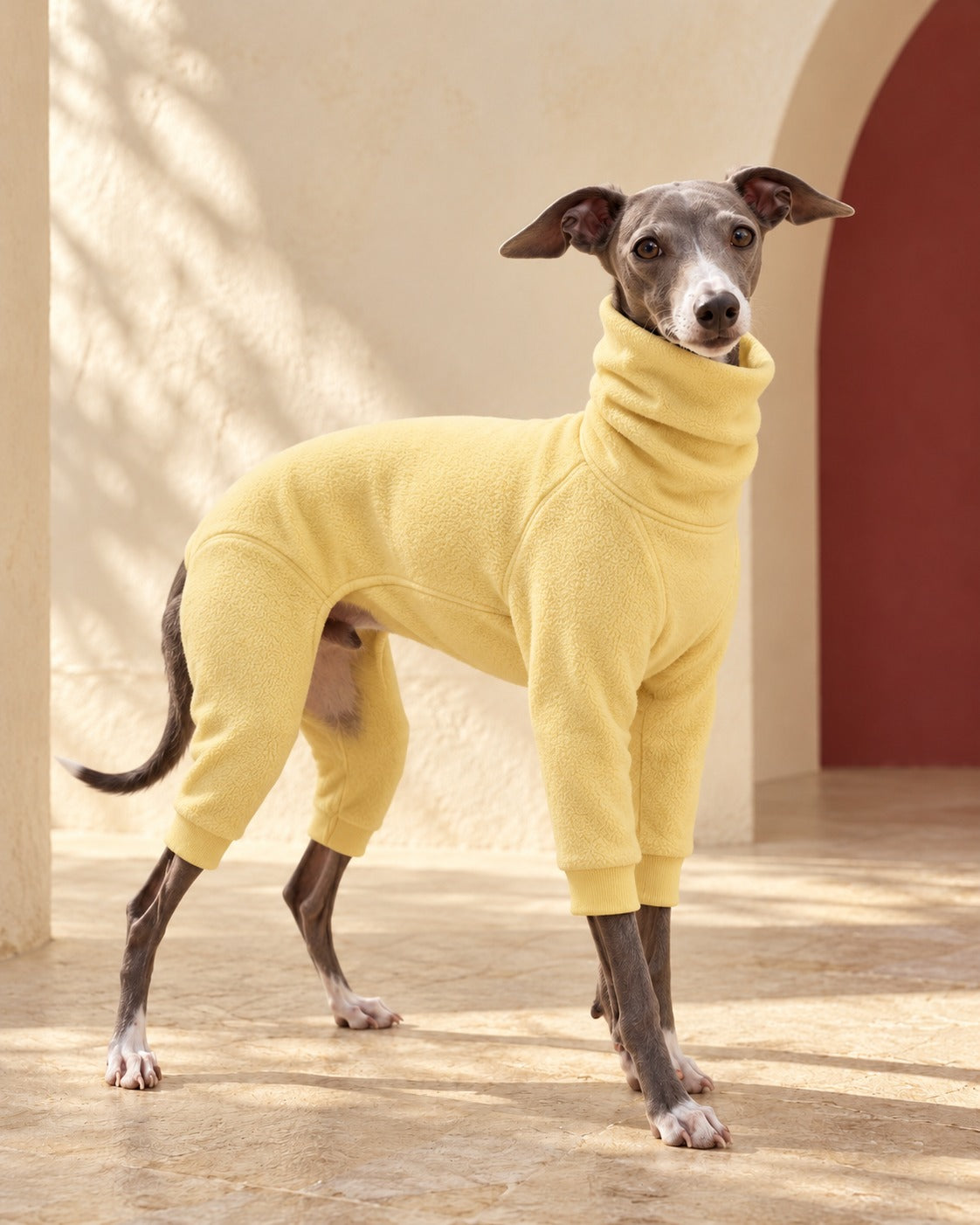 Soft Fleece Covered-Belly Iggy Suit in Yellow, worn by an Italian Greyhound