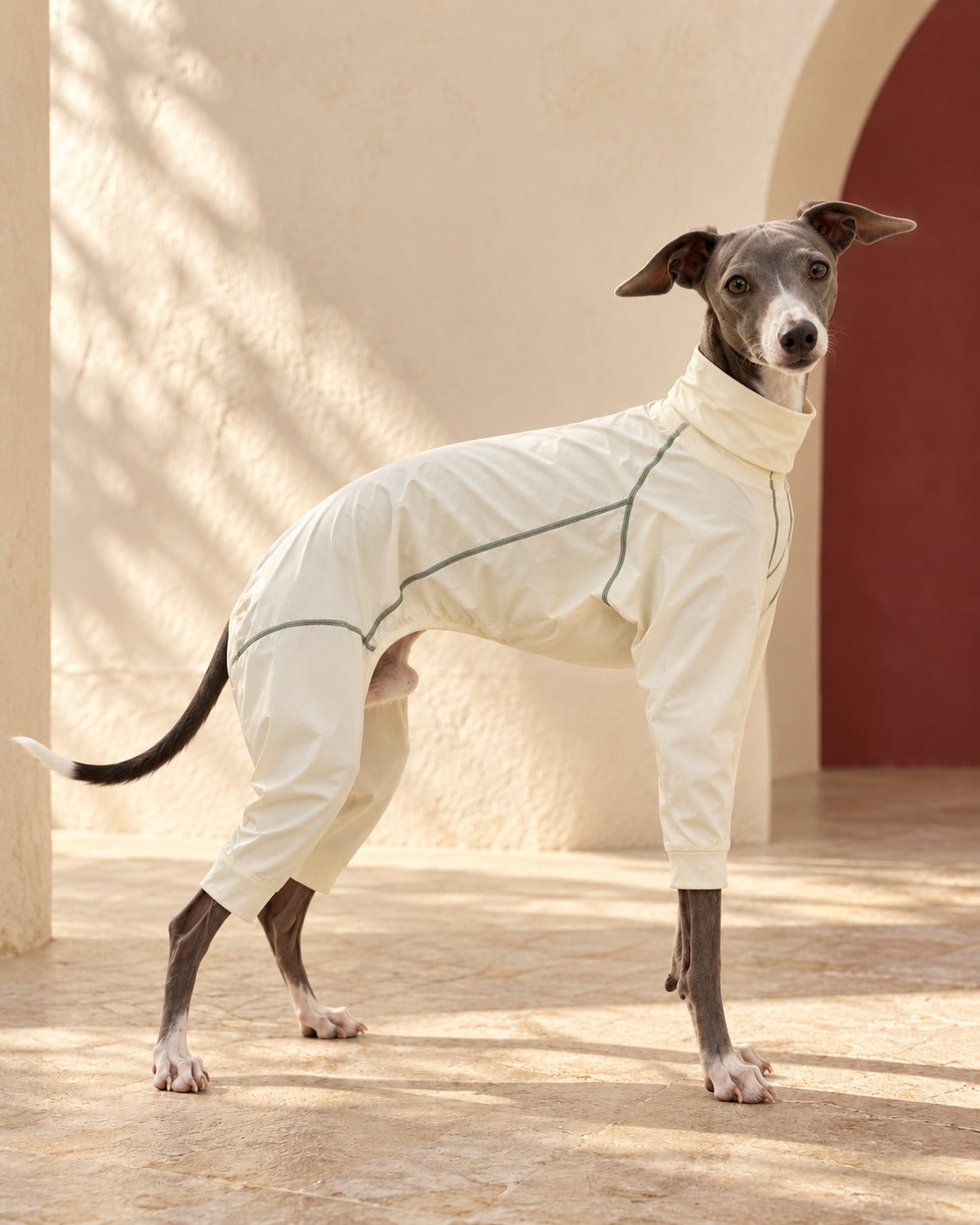 Twin-Zip Four-Leg Iggy Summer Suit in Pale Yellow, worn by an Italian Greyhound