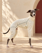 Twin-Zip Four-Leg Iggy Summer Suit in Pale Yellow, worn by an Italian Greyhound