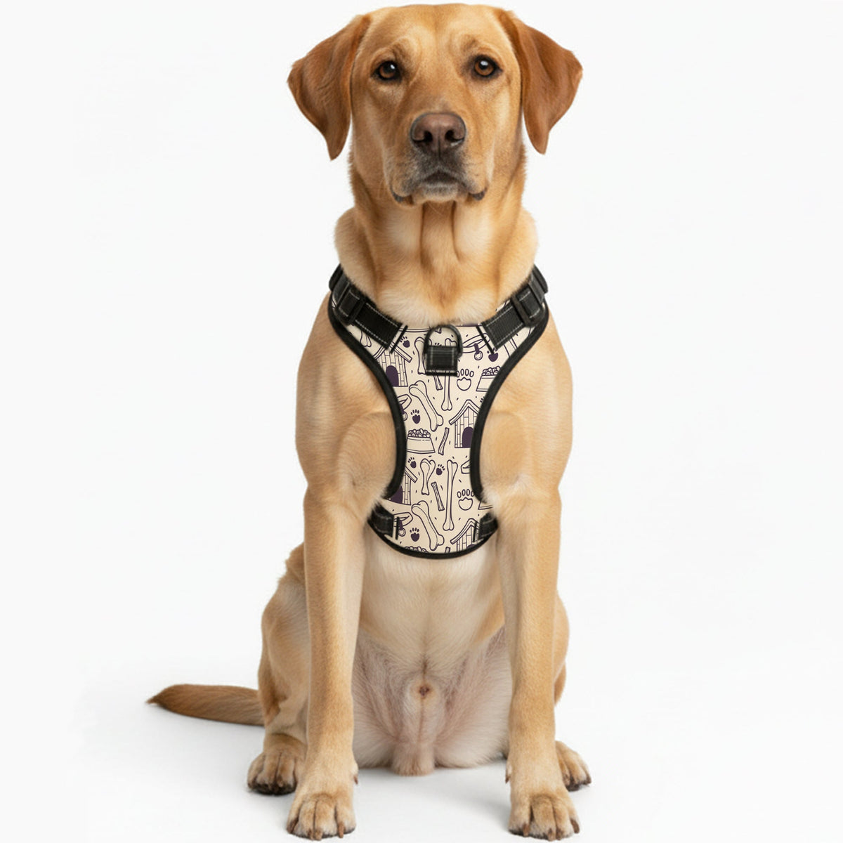 Rose - NO-PULL Iggy Harness & Leash Set | for small and large Dogs